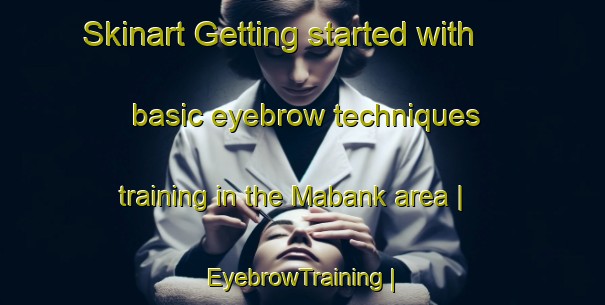 Skinart Getting started with basic eyebrow techniques training in the Mabank area | EyebrowTraining | EyebrowClasses | SkinartTraining-United States